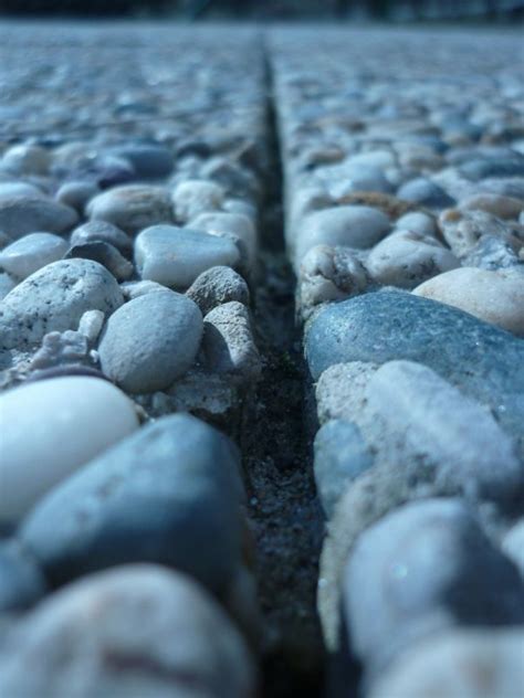 Free Images Beach Sea Nature Sand Rock Winter Wood Stone