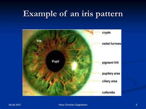 Ppt Iris Recognition Under Various Degradation Models Powerpoint