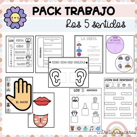 Pack Los 5 Sentidos material didáctico de las asignaturas Material