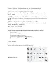Understanding Sex Determination Systems Module 6 Worksheet Course Hero