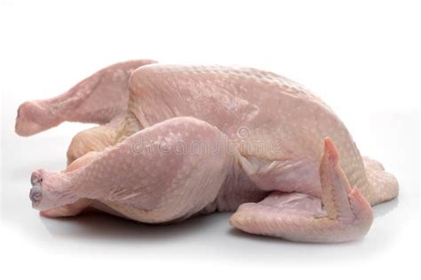 683 Naked Chicken Stock Photos Free Royalty Free Stock Photos From