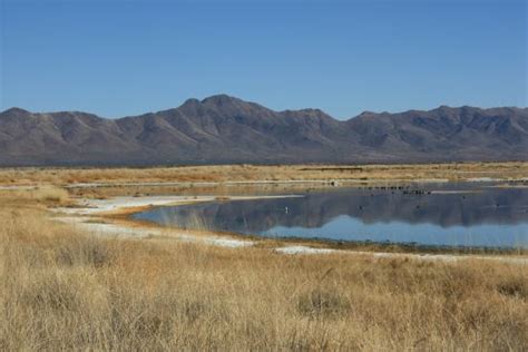 Great for Bird Watching - Review of Cochise Lake, Willcox, AZ - Tripadvisor