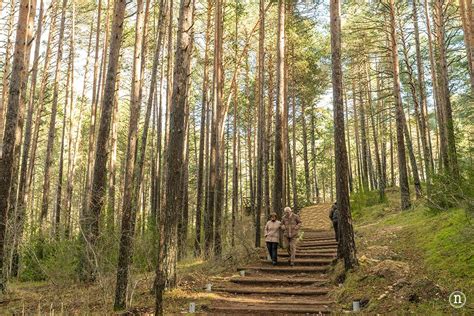 Nacimiento del río Cuervo Cuenca Nómadas ocasionales