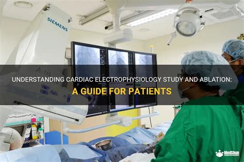 Understanding Cardiac Electrophysiology Study And Ablation A Guide For