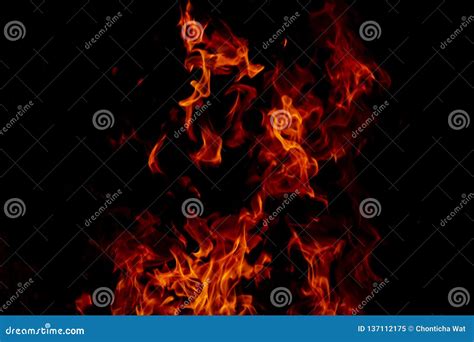Fire Flames On Abstract Art Black Background Texture Burning Red Hot