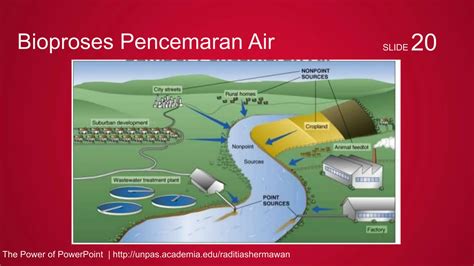 Materi Tentang Pencemaran Lingkungan Ppt Ppt