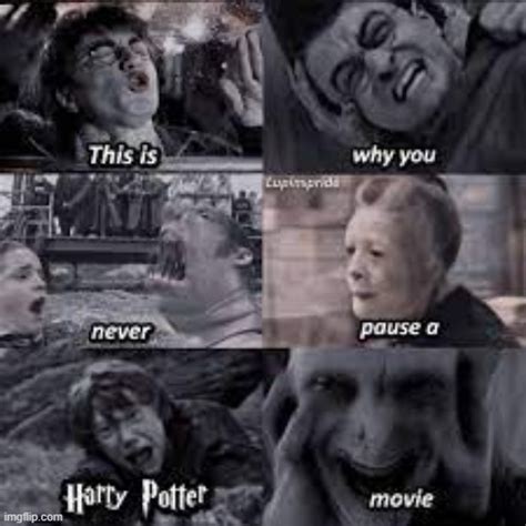 Never Pause Harry Potter Imgflip