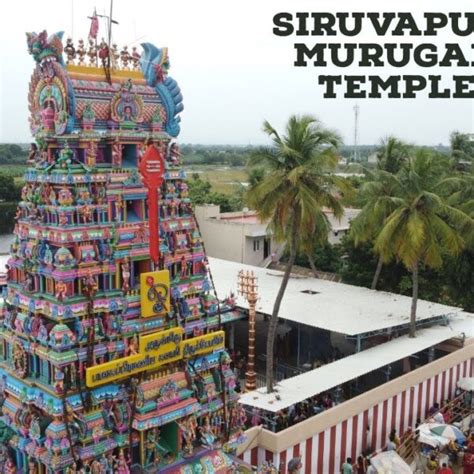 Pazhamudircholai Murugan Temple, Palamudhir Cholai Timings