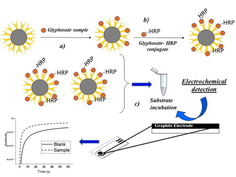 Scheme 1 Scheme Of The Electrochemical Immunoassay Coupled With