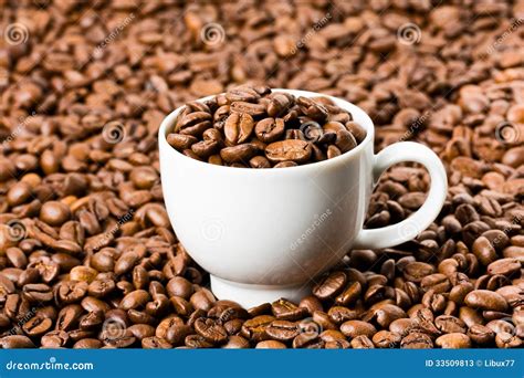 Tasse Blanche Remplie De Grains De Café Image Stock Image Du Tapis Java 33509813