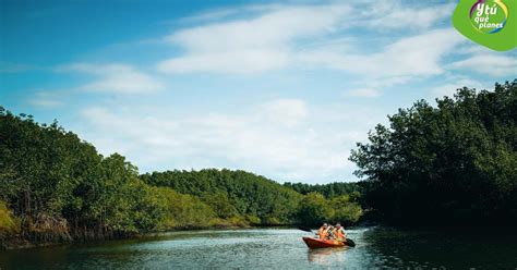 Tumbes Santuario Nacional Del Manglar GetYourGuide