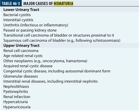 Hematuria- Causes – Dentowesome