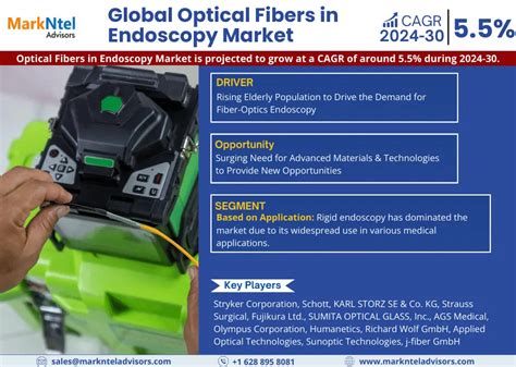 Global Optical Fibers In Endoscopy Market Envisions Steady Growth With