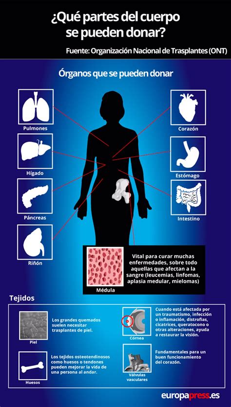 Conoce Todo Lo Que Se Puede Donar Del Cuerpo