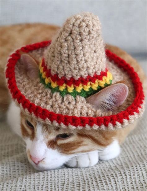 Cat Sombrero Sombrero For Cats Sombrero Hat With Ear Holes Etsy