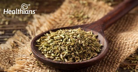 Surprising Health Benefits Of Fennel Seeds Saunf Aljazeera