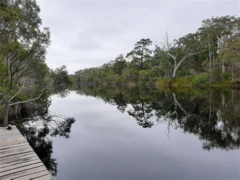 Self Guided Noosa Everglades Kayak Tour Noosa Sunshine Coast