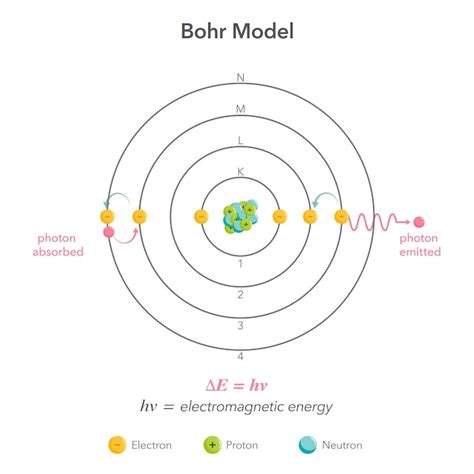 Bohr Modelo Física Química átomo Vector Ilustración Diagrama Vector