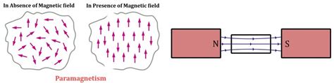 Is Stainless Steel Magnetic Science ABC