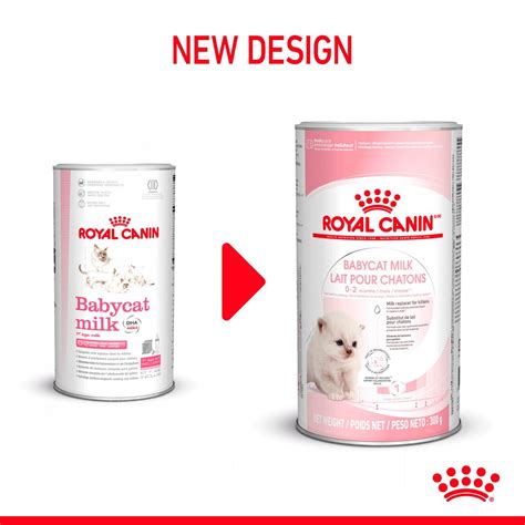 Babycat Milk – Cat Food | Royal Canin UK