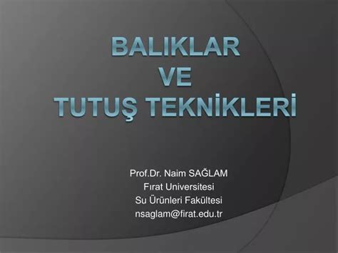 Ppt Baliklar Ve Tutu Tekn Kler Powerpoint Presentation Free