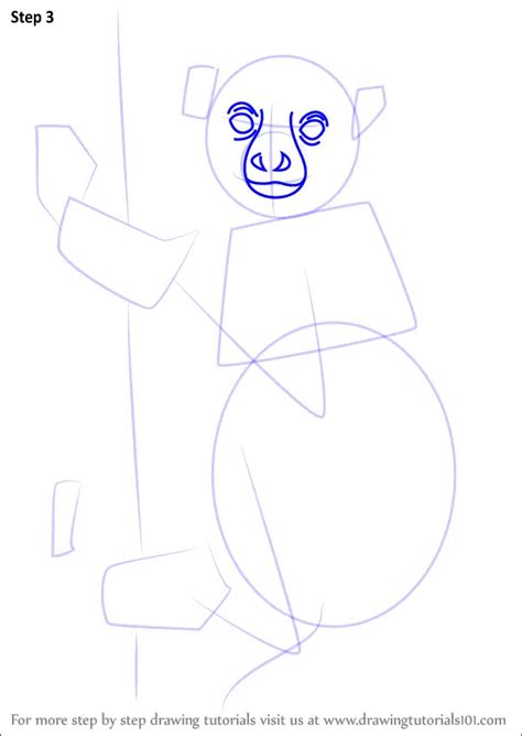 Learn How To Draw A Lemur On A Tree Lemurs Step By Step Drawing