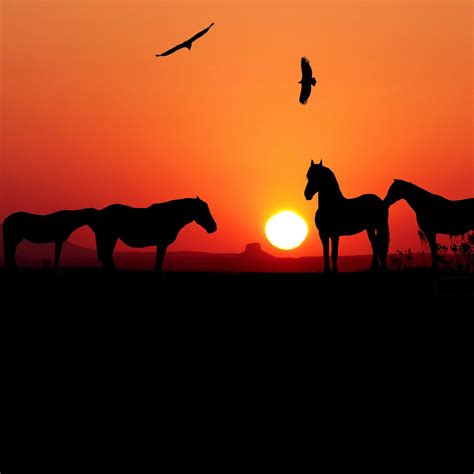 Horse Sunset Wallpapers - Top Free Horse Sunset Backgrounds - WallpaperAccess