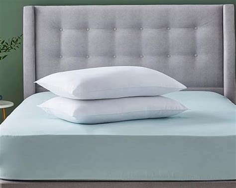 Hypoallergenic Pillows Non Allergenic Pillow World