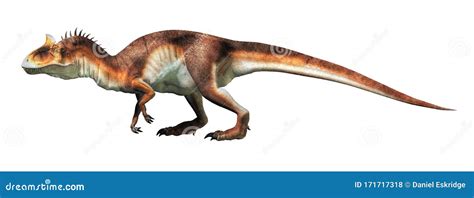 Cryolophosaurus Stock Illustration Illustration Of Carnivore 171717318