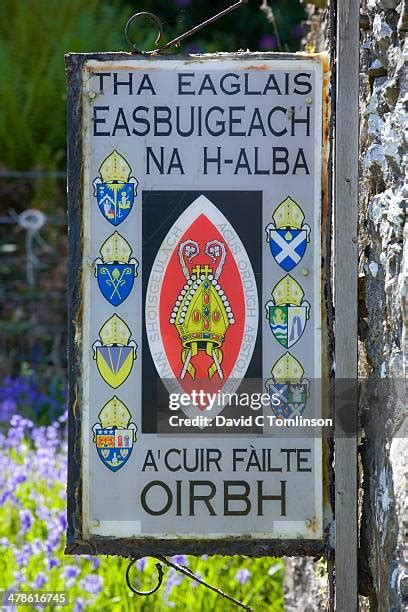 1,982 Gaelic Symbols Stock Photos, High-Res Pictures, and Images ...