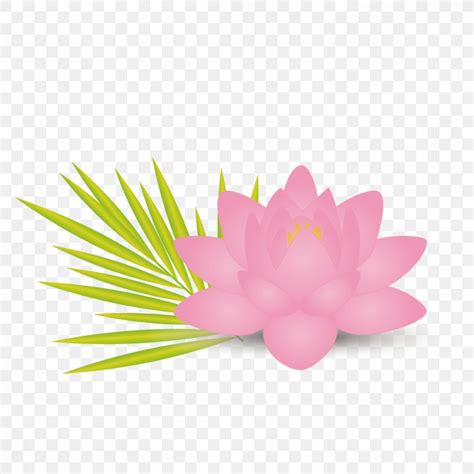 Nelumbo Nucifera Lotus Effect Flower Leaf Euclidean Vector Png