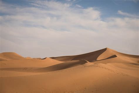 Parshas Bamidbar Desert And Direction Rabbi Avi Shafran