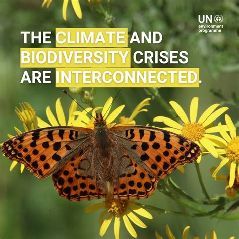 Un Environment Programme On Twitter Biodiversity Is Our Strongest Natural Defense Against