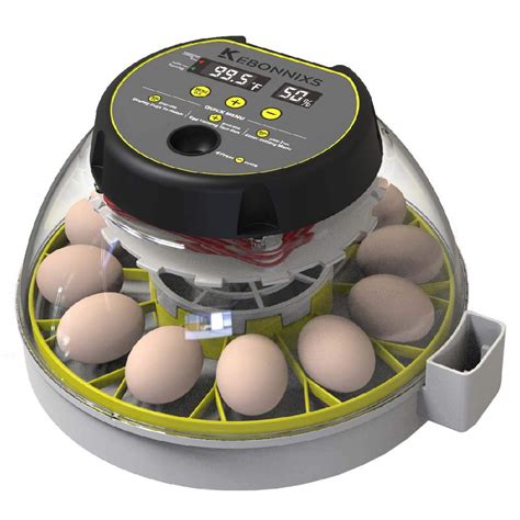 Chicken Egg Incubator How To Choose The Right One For Your Needs