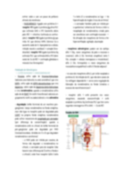 Solution Fisiologia Sistema Nervoso Aut Nomo Studypool