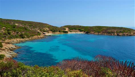 Parc National De L Asinara Italie Fr