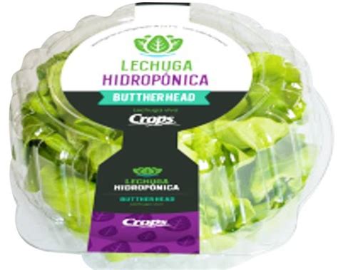 Lechuga Hidropónica x paq 500 gr Frutería Leonela