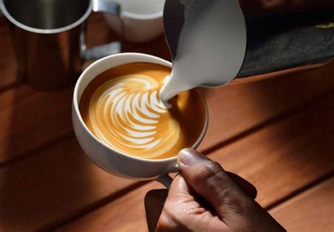 Curso De Barista Beneficios Oportunidades Y Ventajas