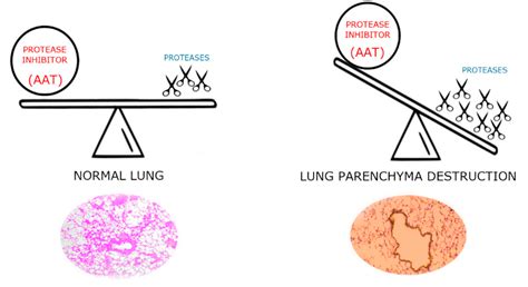 Molecules Free Full Text Methods Of Purification And Application