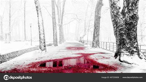 Blood Splatter In Snow