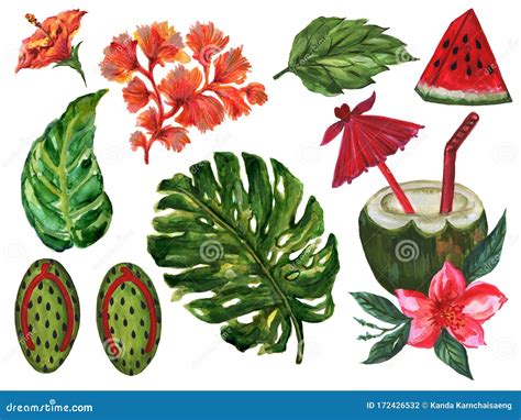 Set Of Beach Forest Sea Foliage Botanicle Elements Abstract Flowers And