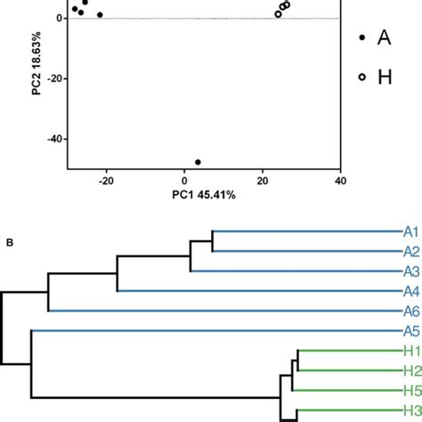 The Principle Component Analysis Pca A And Upgma Method Of Beta