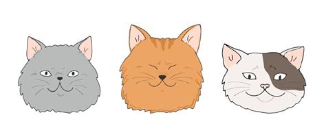 Premium Vector Three Different Cat Faces Set Different Cat Breeds