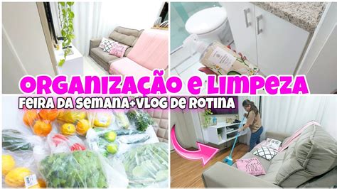 Vlog Rotina De Dona De Casa Limpeza E Organiza O Feira Da Semana