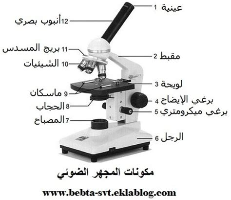 أنواع المجاهر