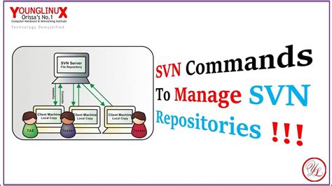 SVN Commands To Manage SVN Repository YouTube