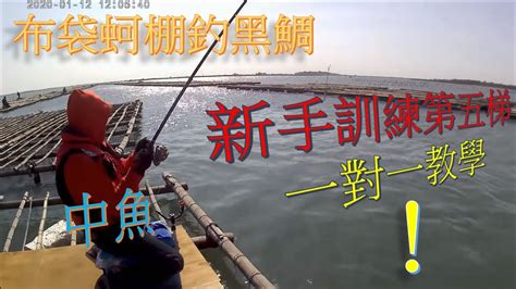 黑熊釣黑鯛格 20200112 嘉義布袋南堤蚵棚釣魚新手訓練第五梯，一對一教學，也擋不住大潮貢貢流！黑格黑牛鯛魚 打螺釣螺練