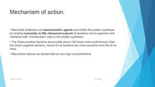 MACROLIDES ANTIBIOTICS. | PPT