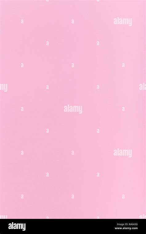 Light Lilac Colored Vertical Sheet Of Paper Stock Photo Alamy