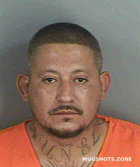 Nunez Gilberto Collier County Mugshots Zone